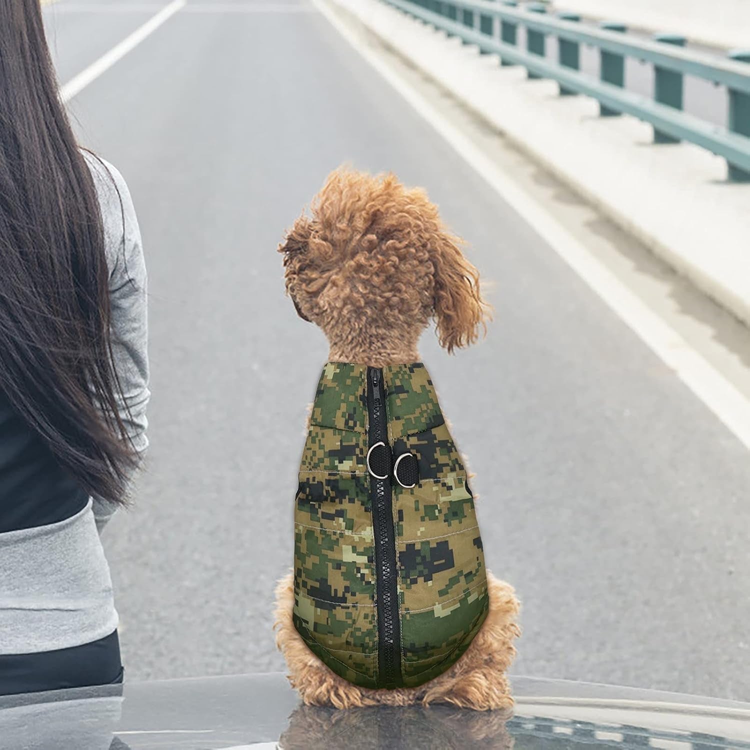 Pet Camouflage Cold Weather Coat, Small Dog Vest Harness Puppy Winter Padded Outfit Warm Garment