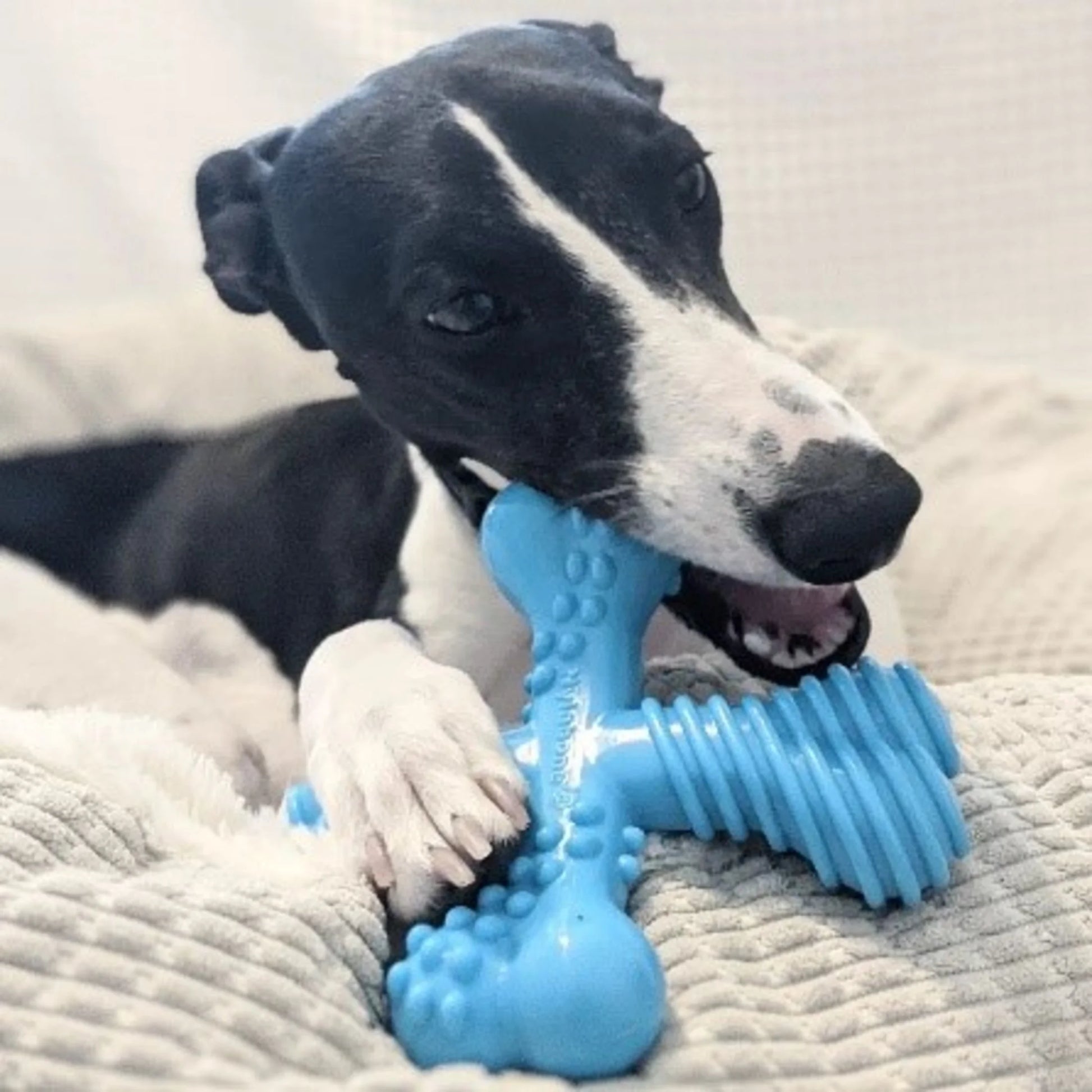 Power Chew Comfort Hold X Bone Dog Toy Beef Small/Regular - up to 25 Ibs. (1 Count)