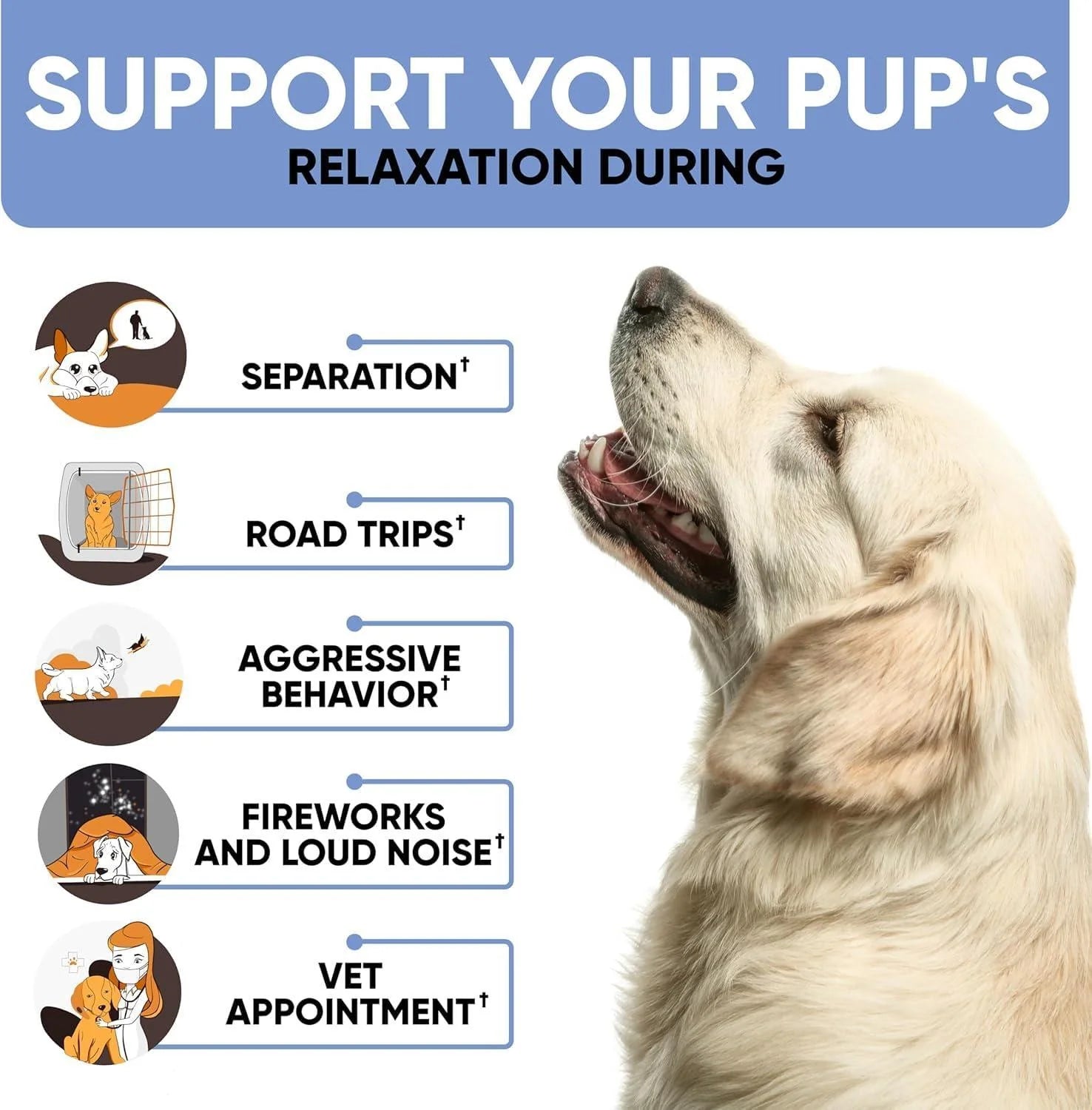 Natural Calming Chews for Dogs with Hemp Oil & Valerian Root Supports